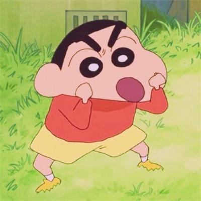 蜡笔小新小鸡图片大全,小鸡图片大全集锦