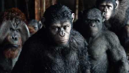 猩猿崛起国语版
