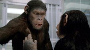 猩猿崛起国语版