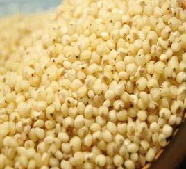 高粱米图片大全,探寻传统农耕文化的魅力