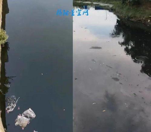 污染视频,视频揭露环境危机