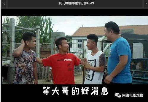 浩哥视频,揭秘生活智慧，畅享人生精彩