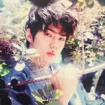 双鱼座的韩国男明星,揭秘韩国星座男星的双鱼特质”