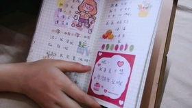 手帐本视频,创意生活记录的艺术之旅