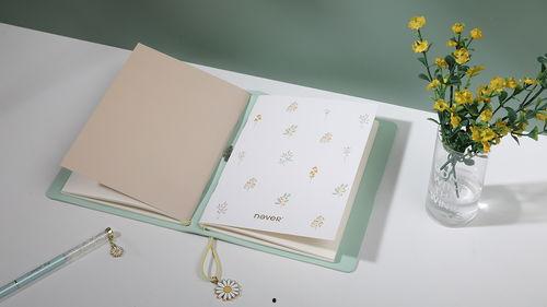 手帐本视频,创意生活记录的艺术之旅