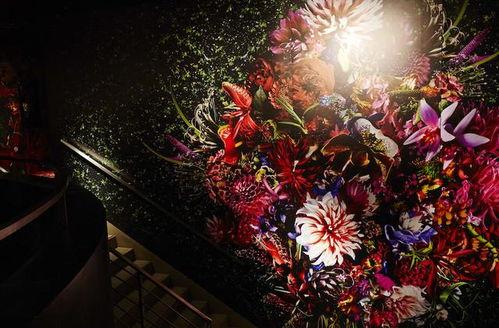 日本花实,探寻樱花与和果的浪漫传奇