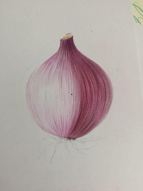 洋葱流泪图片,揭秘泪水背后的感人故事