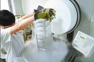 日本精子捐献图片,揭秘神秘捐献者背后的故事