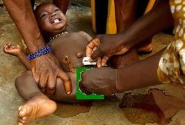 处女器官 在线观看,在线观看探索人体奥秘之旅