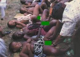 处女器官 在线观看,在线观看探索人体奥秘之旅