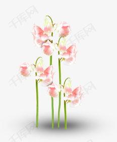 花卉图片大全大图唯美,花卉图片大全大图唯美赏析