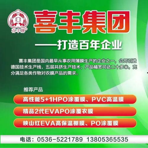 今日菜价瓜菜类下跌了吗,瓜菜类价格走势分析