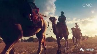 驼铃视频,穿越丝绸之路的视觉之旅