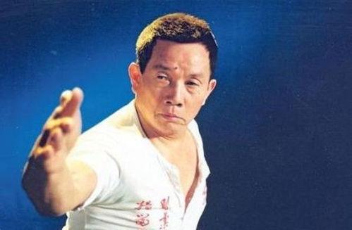 刘家良会说国语吗,会说国语的武术宗师
