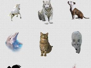 动物百科大全图片